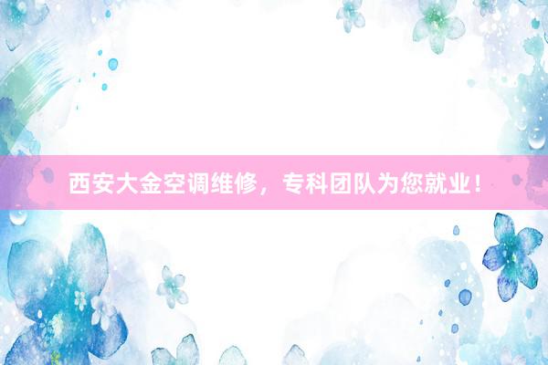 西安大金空调维修，专科团队为您就业！